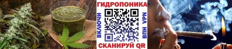 Еда ТГК конопля Купить где Кузнецк