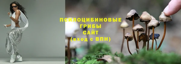 гидропоника Лиски