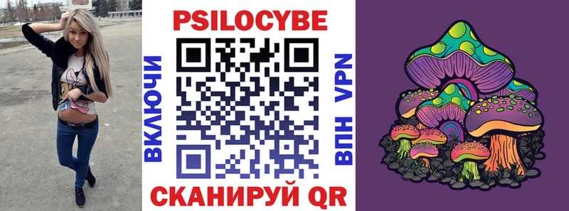 Галлюциногенные грибы Cubensis  Купить где  Кузнецк 