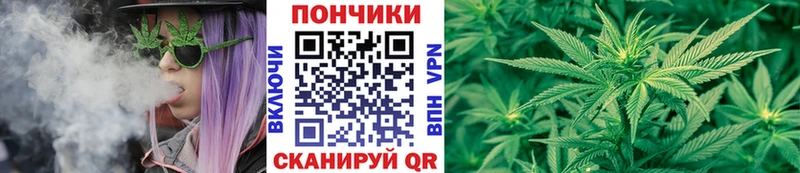 Конопля гибрид  Купить закладки  Кузнецк 